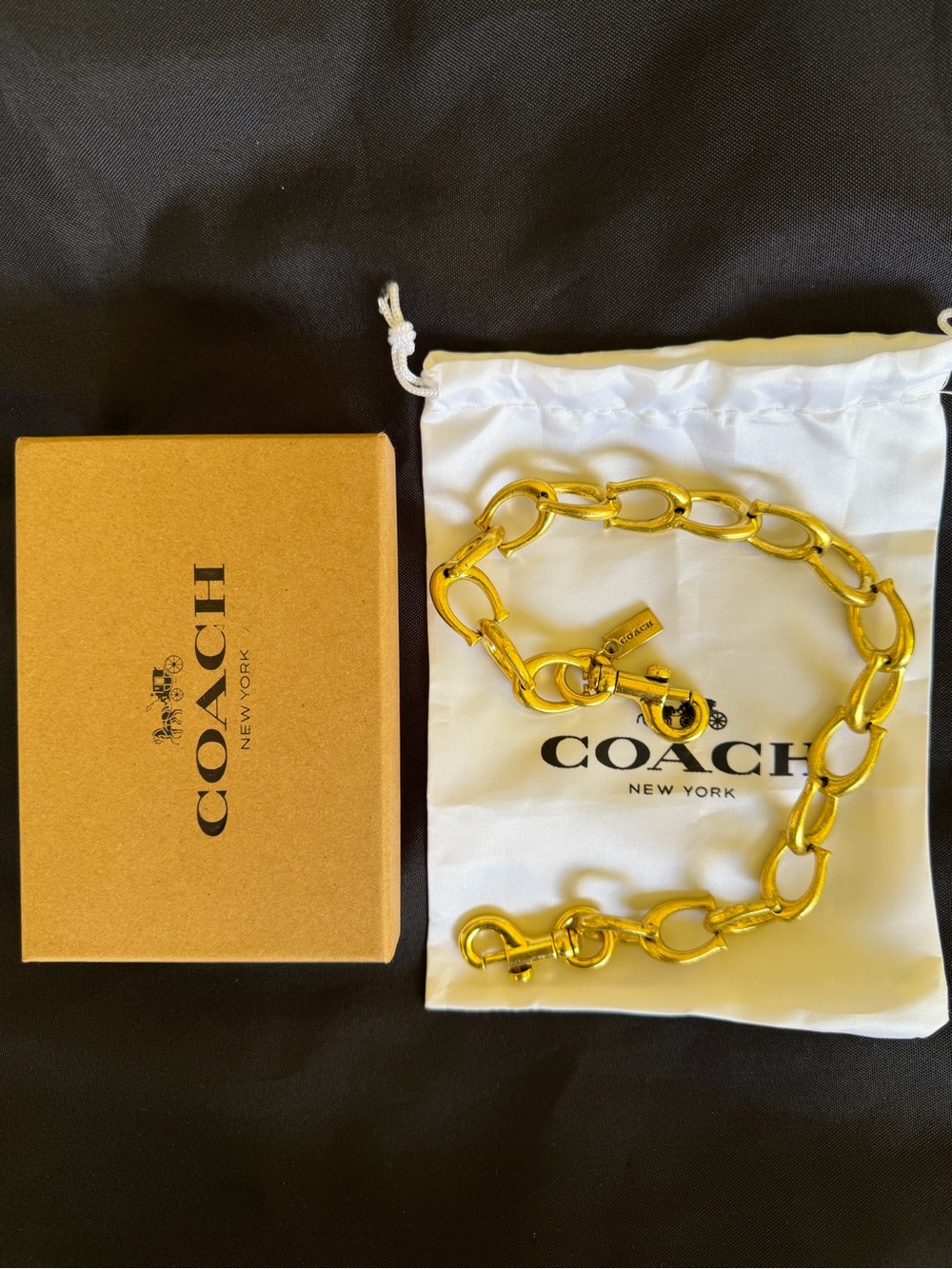 RARE DISCONTINUED COACH Gold “C” Link Bag Chain
